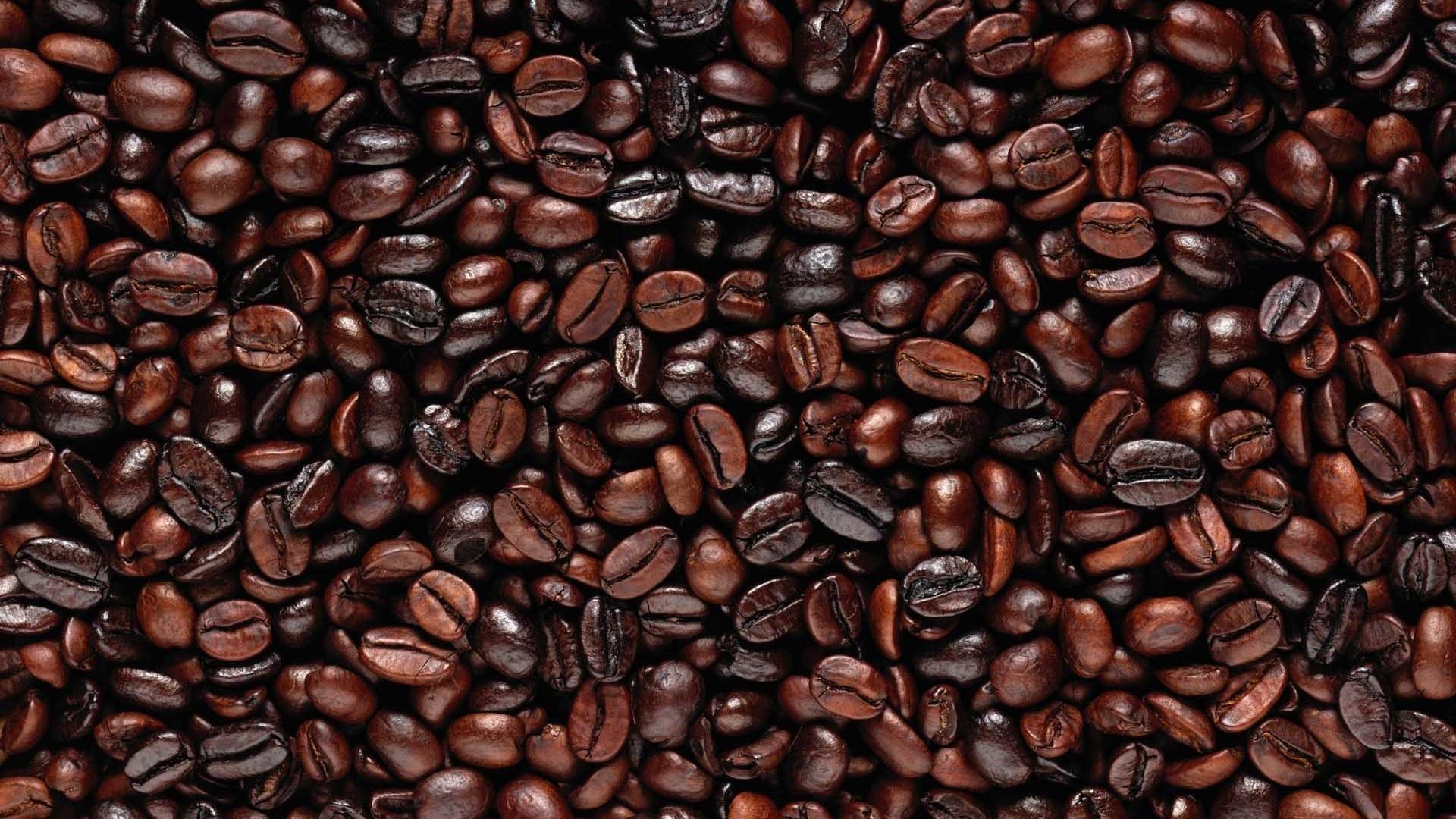 Jungle Beans Coffee