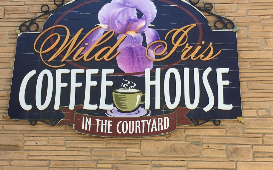 Wild Iris Coffee House, Prescott AZ star flower.