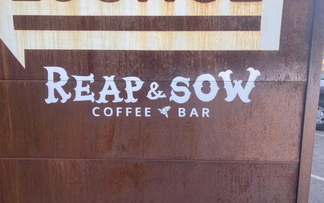 Reap and Sow Coffee Bar, making it through COVID.