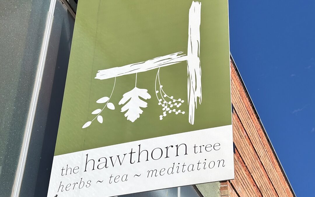The Hawthorn Tree